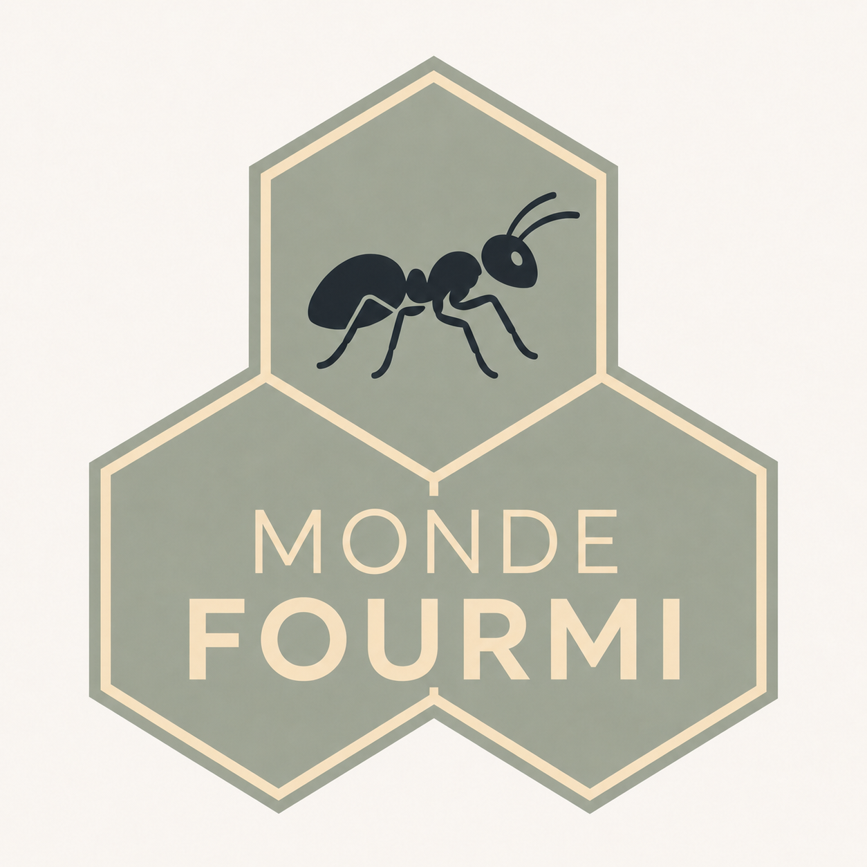 Ma boutique de fourmis